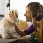 What to Expect at Your First Pet Grooming Appointment