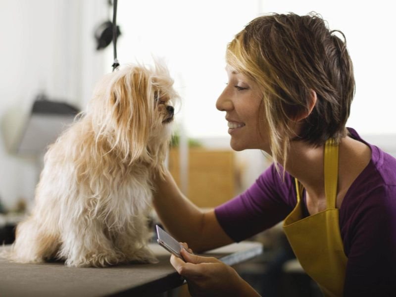 What to Expect at Your First Pet Grooming Appointment
